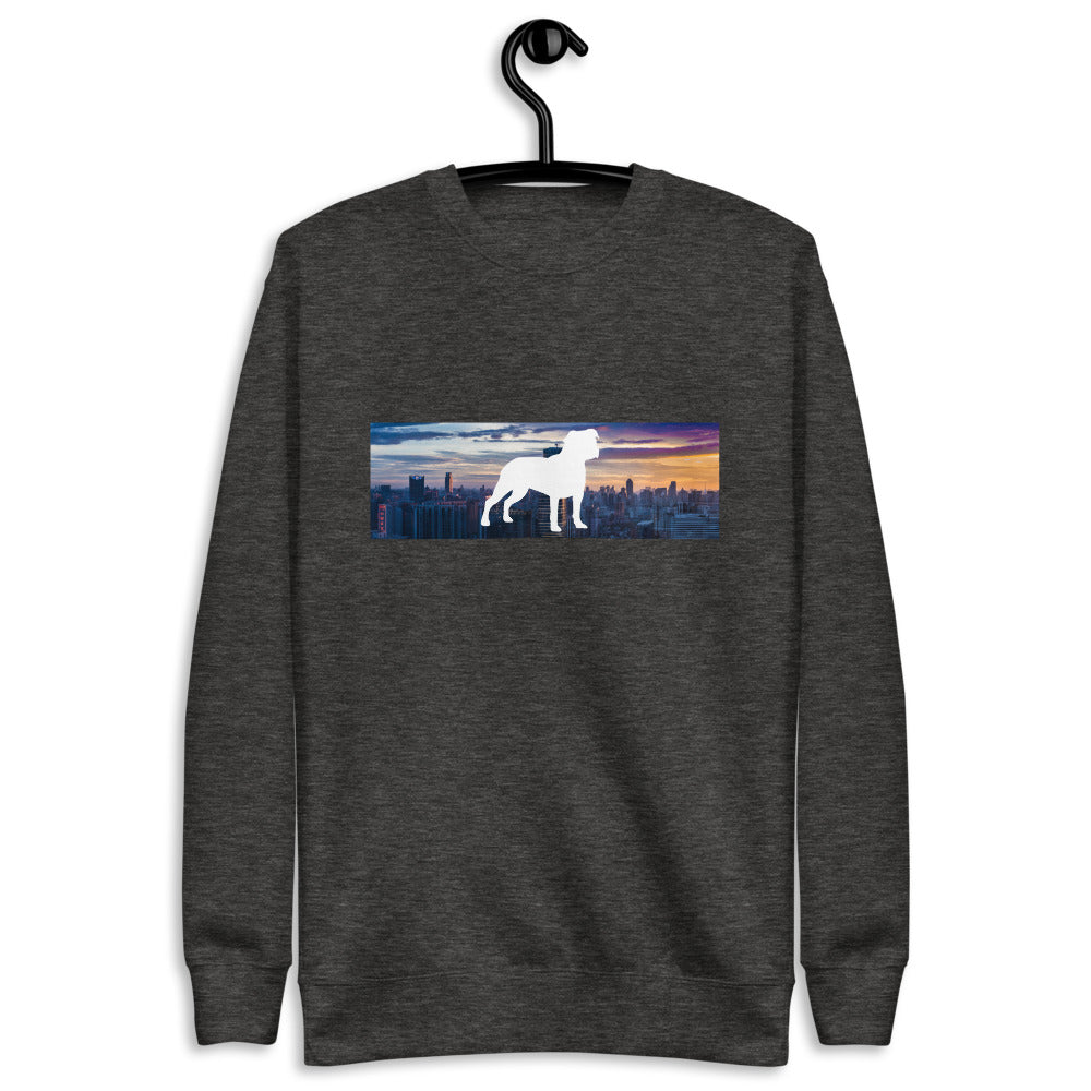 Skyscraper Pullover Sweater Stray Dog Apparel